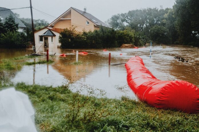 Climate Adaptation vs Mitigation: A Policy Breakdown — Opinion & Analysis coverage by Political Watch