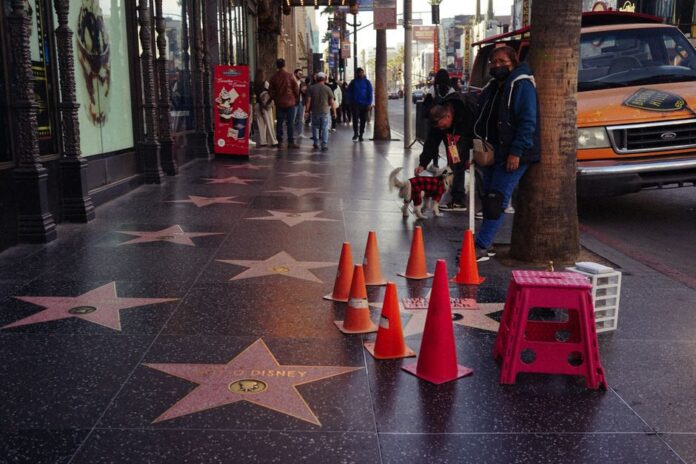 American pop culture icons keep their distance from Trump administration deportation aura farming — Entertainment coverage...