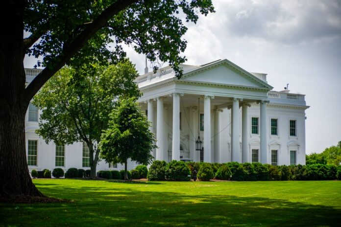 Can President Trump Do That? — National coverage by Political Watch. Photo: Ramaz Bluashvili via Pexels
