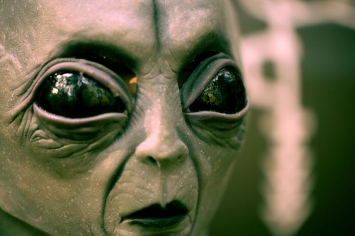 The Latest from the Alien Terrorist Removal Court — National coverage by Political Watch. Photo: Stephen Leonardi via Pexels